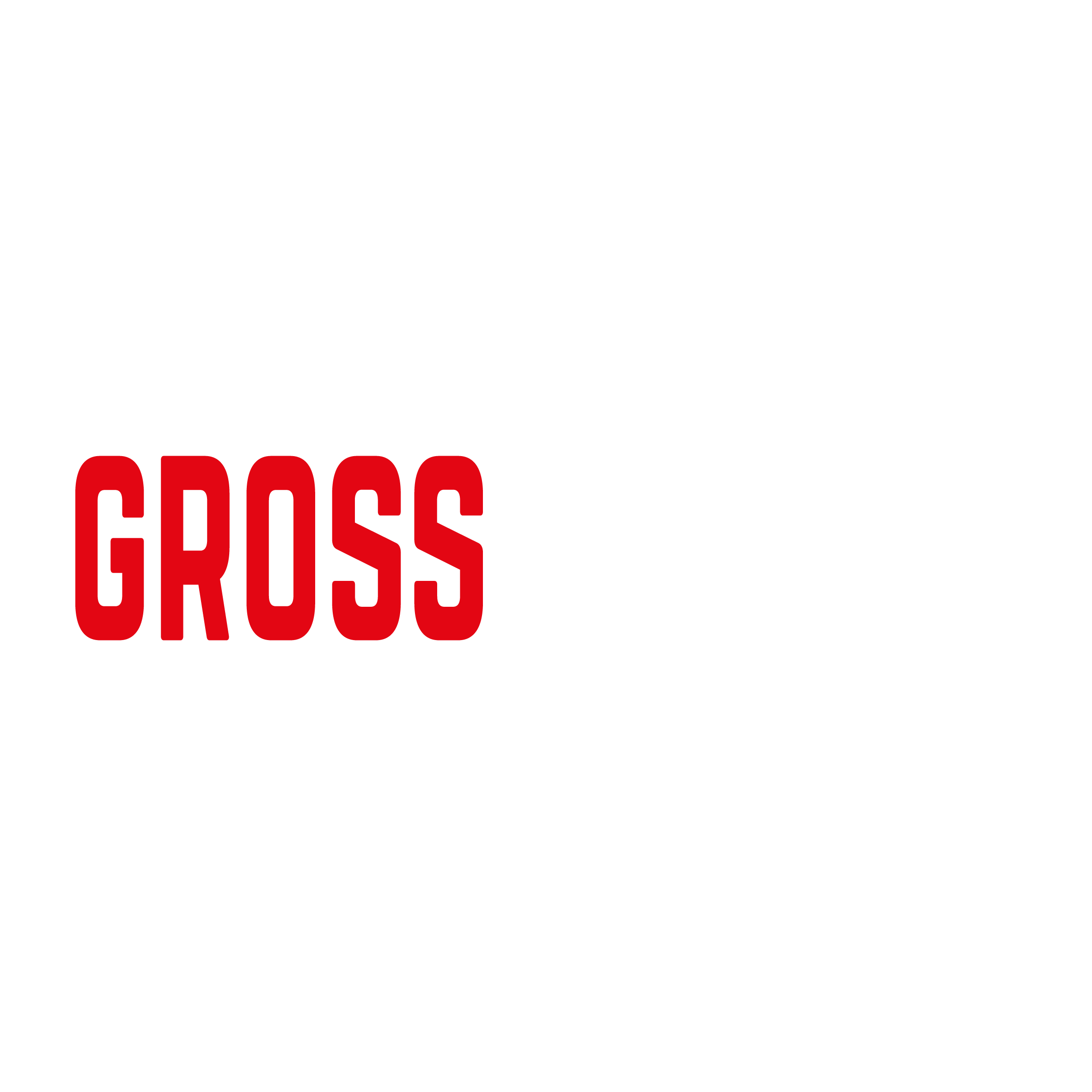GrossMotors